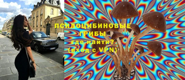 не бодяженный Козельск