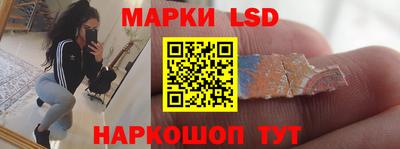 шишки Будённовск