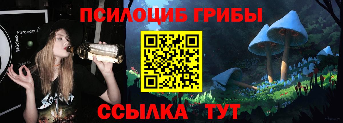 Псилоцибиновые грибы Cubensis  Псилоцибиновые грибы Cubensis  Елец  Вход с VPN 